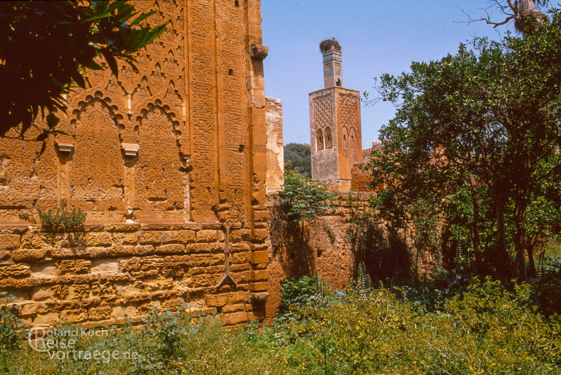 Marokko - Rabat - Totenstadt Cellah